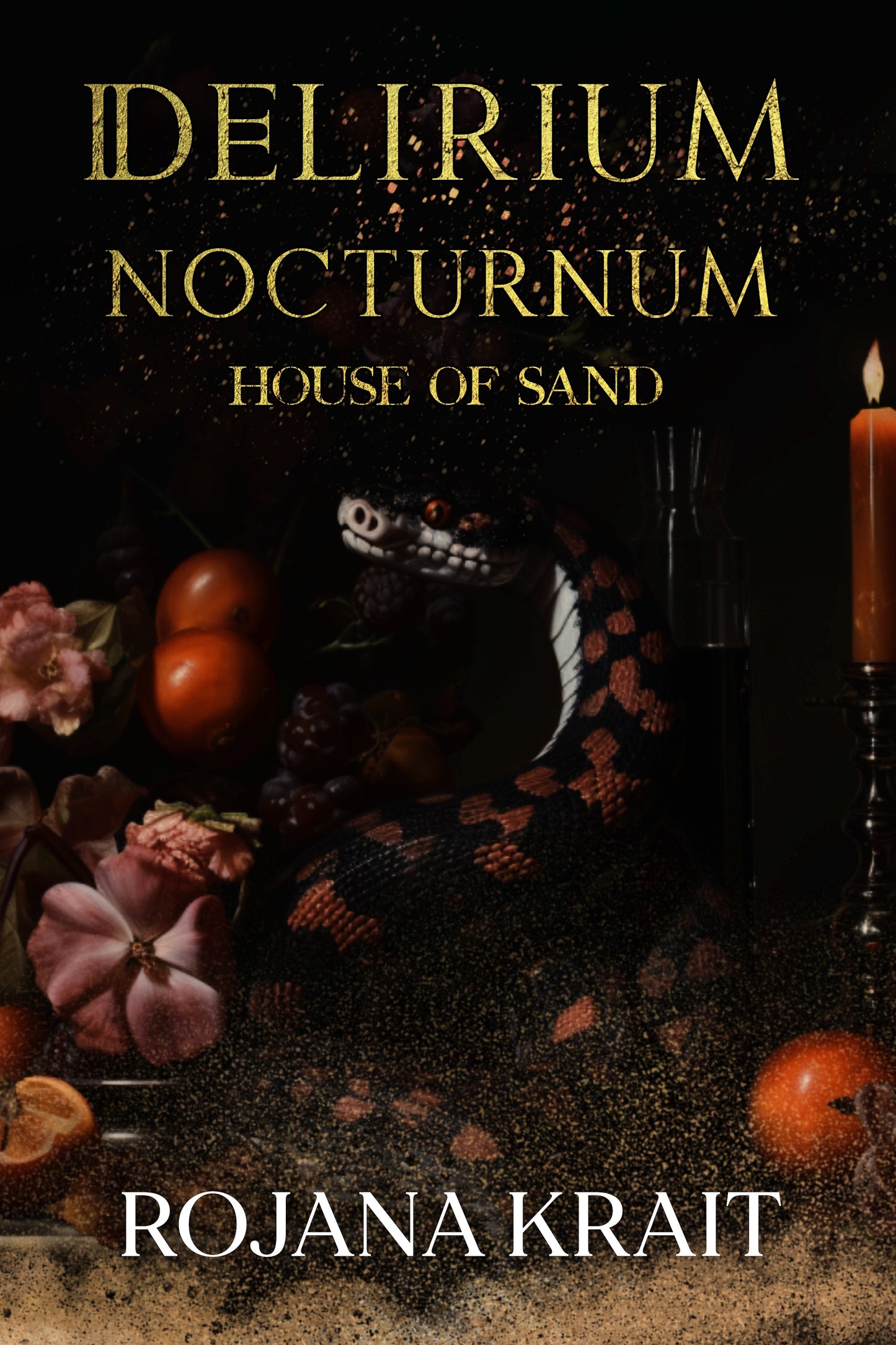 DELIRIUM NOCTURNUM: House of Sand (Paperback)